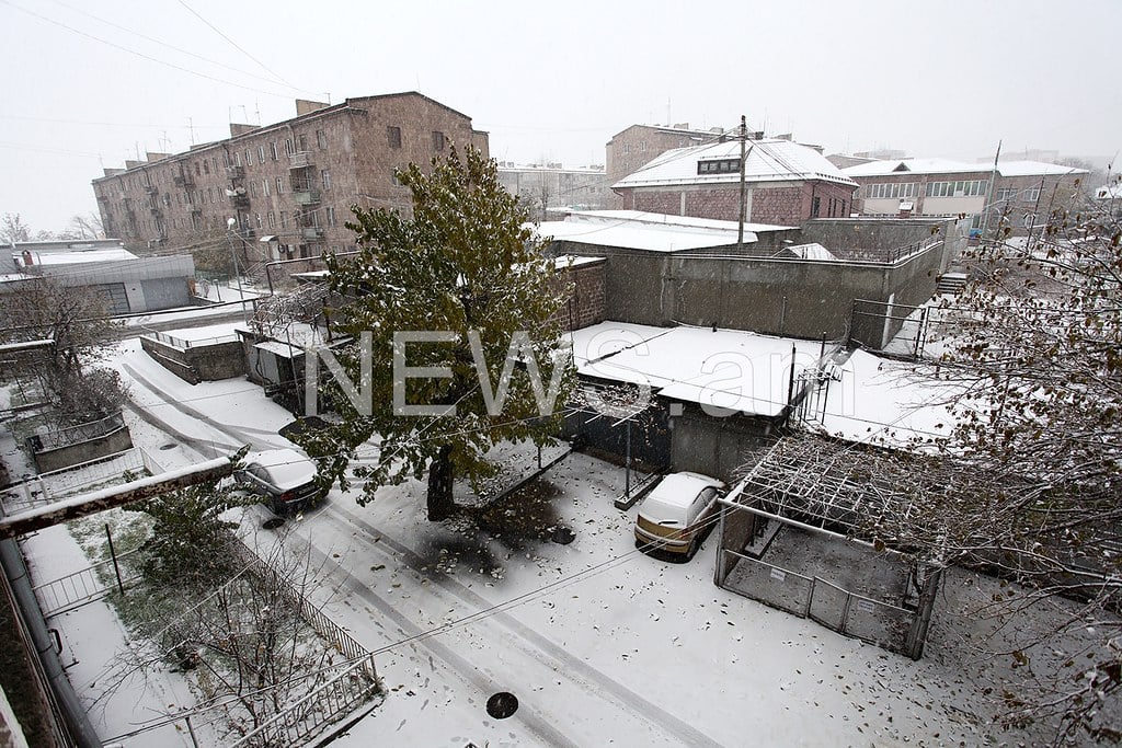 Պատկերասրահի պատկեր