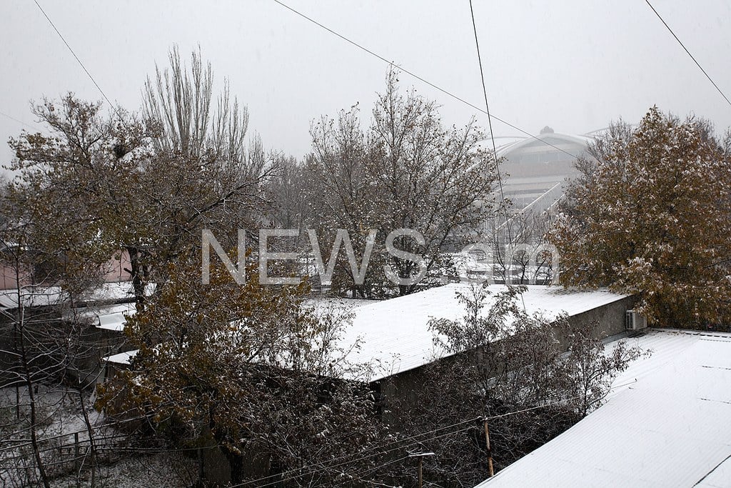 Պատկերասրահի պատկեր