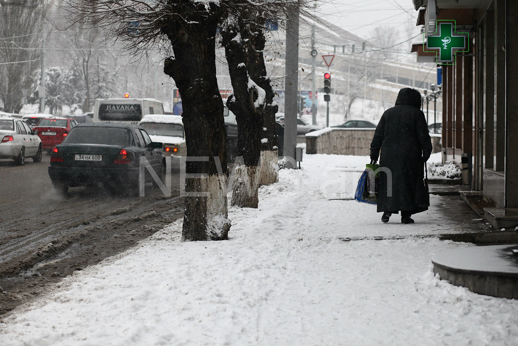 Պատկերասրահի պատկեր