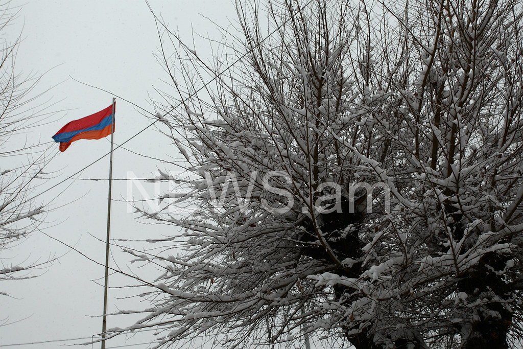 Պատկերասրահի պատկեր