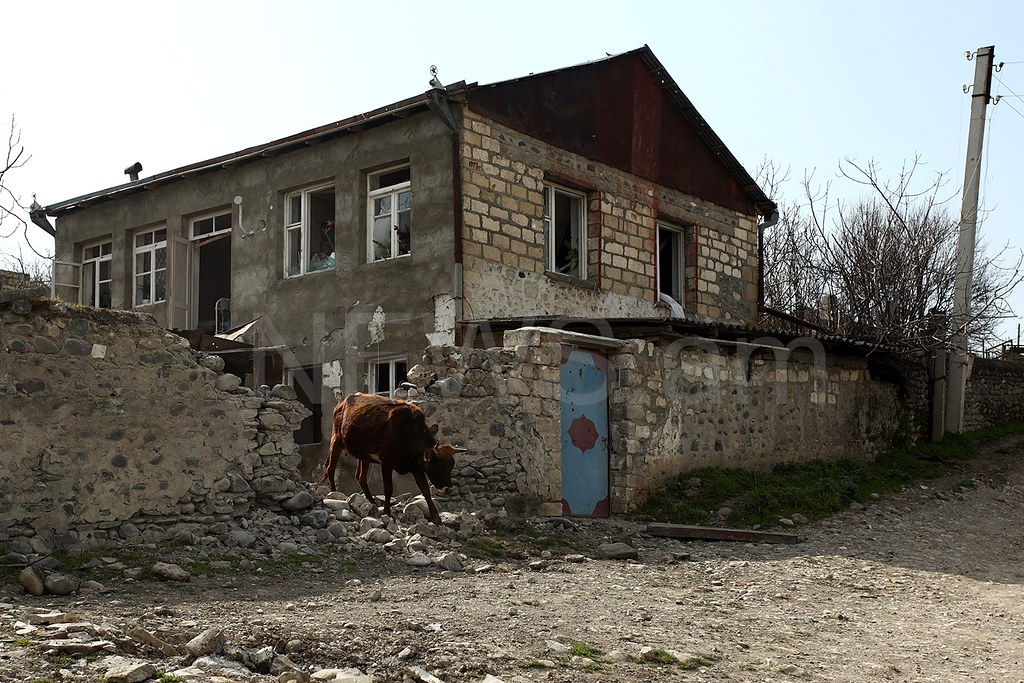 Պատկերասրահի պատկեր