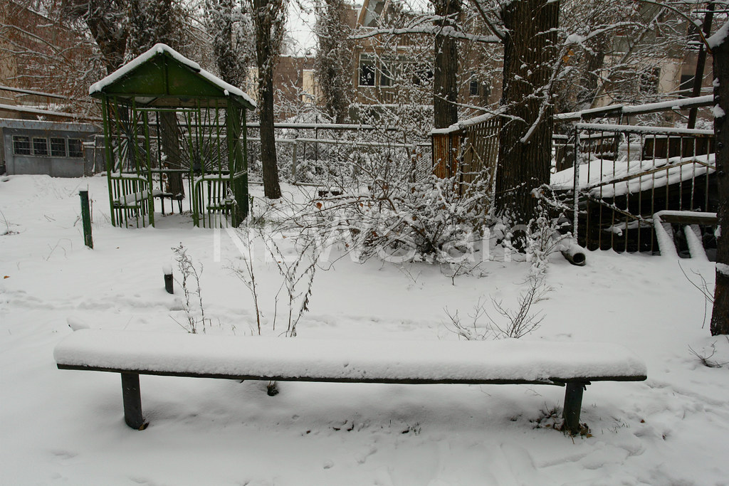 Պատկերասրահի պատկեր