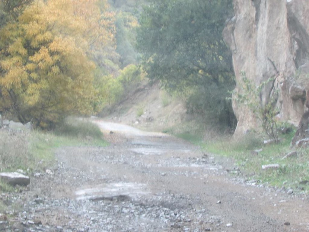 Պատկերասրահի պատկեր