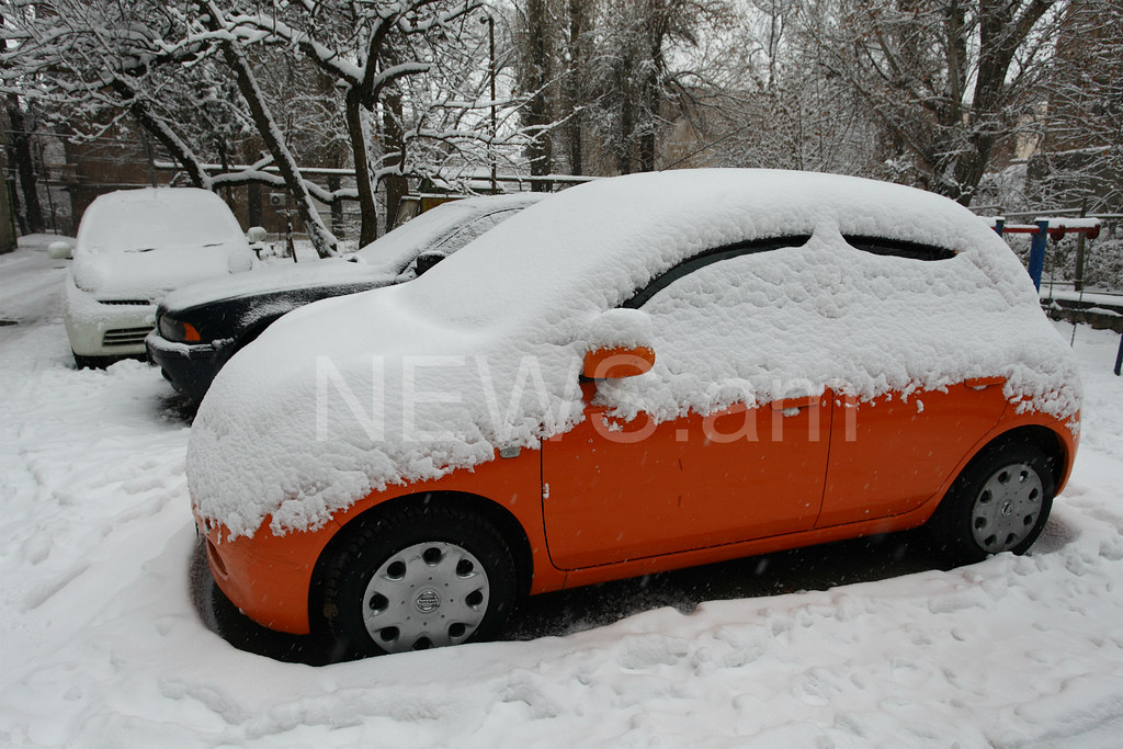 Պատկերասրահի պատկեր