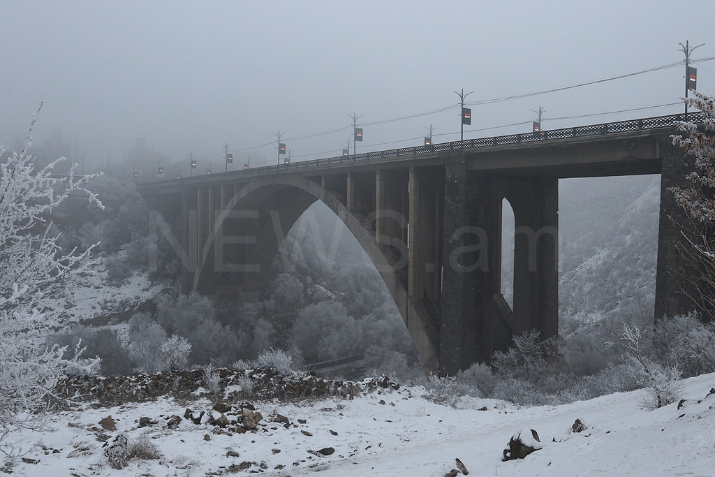 Պատկերասրահի պատկեր