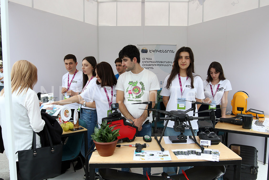 Պատկերասրահի պատկեր