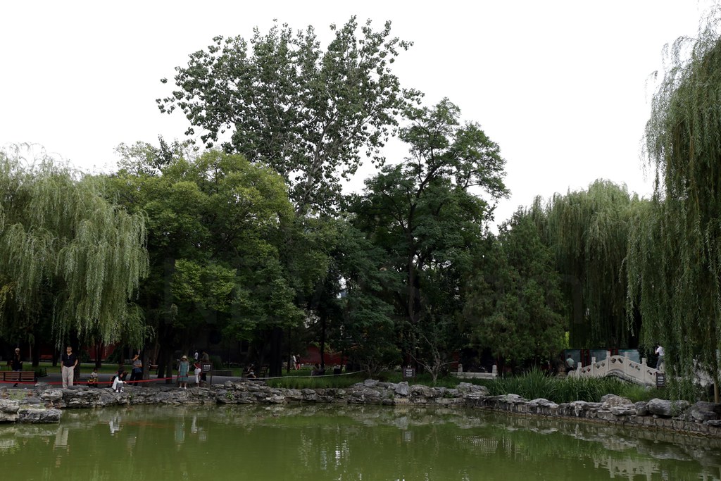 Պատկերասրահի պատկեր